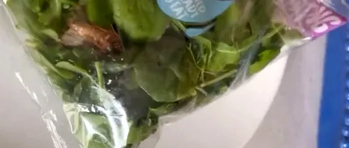 Ce a găsit o clientă într-o pungă cu salată pe care a cumpărat-o din supermarket