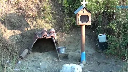 Hachiko grecul: Povestea emoționantă a cățelului care nu a părăsit timp de 18 luni locul unde i-a murit stăpânul - FOTO / VIDEO 