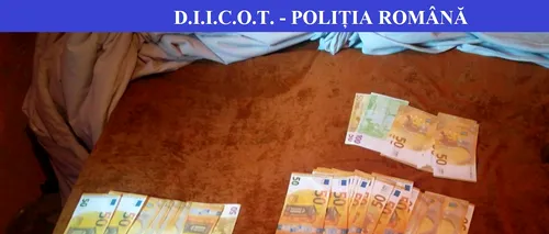 Falsificatori de bani la Hunedoara: Mai multe persoane, audiate la DIICOT după ce au cumpărat cai cu bancnote falsificate acasă - FOTO / VIDEO