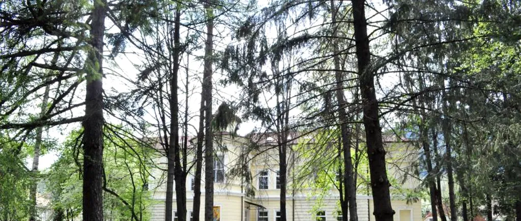 Spitalul de Psihiatrie din Câmpulung Moldovenesc, fără dezinfectanți: tot stocul, ridicat de poliție