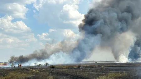 VIDEO | Incendiu puternic la marginea orașului Bragadiru. Trafic blocat pe Centura Capitalei. Fumul poate fi văzut din București - UPDATE