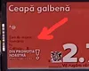 Cum sunt păcăliți românii în Kaufland. De unde provine, de fapt, această ceapă vândută ca fiind „din România”
