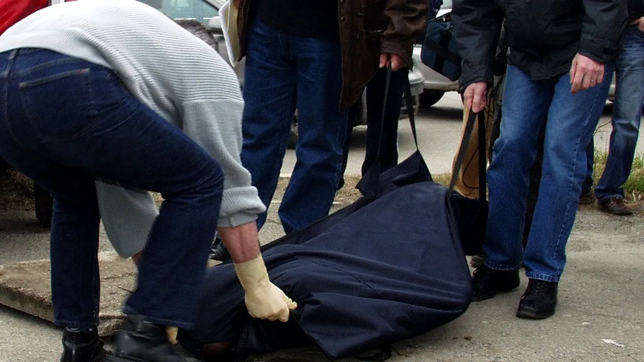 Cadavrul unei femei, mutilat de câini, descoperit la marginea orașului Medgidia