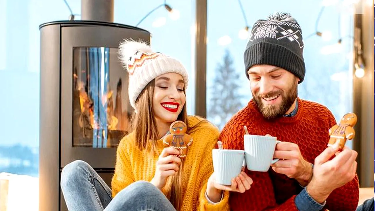 SOBA pe lemne vs centrala pe gaz: Avantaje și dezavantaje