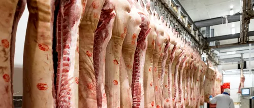 EXCLUSIV | Cum gestionează, de fapt, managementul unui abator de porci activitatea de producție în vreme de #coronacriza