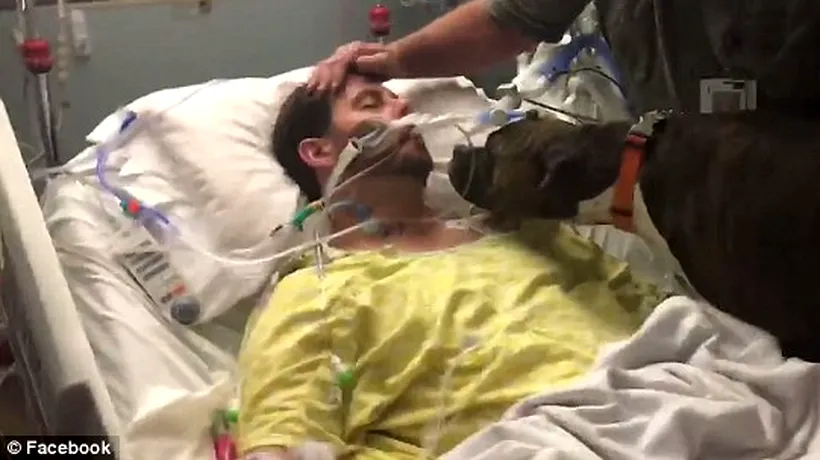 Întâlnirea emoționantă dintre un câine și stăpânul său aflat pe un pat de spital