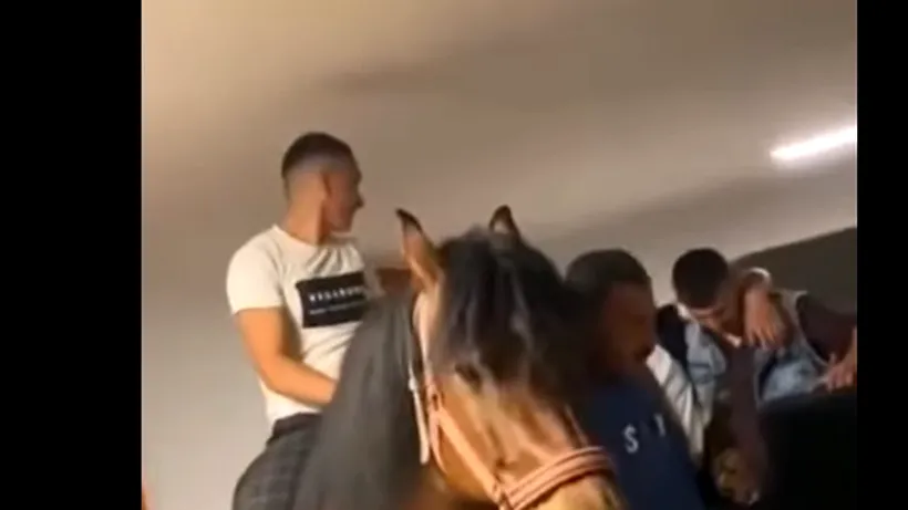 VIDEO | Surpriză la majorat: Un cal a fost invitatul special al petrecerii. Reacția invitaților a devenit virală