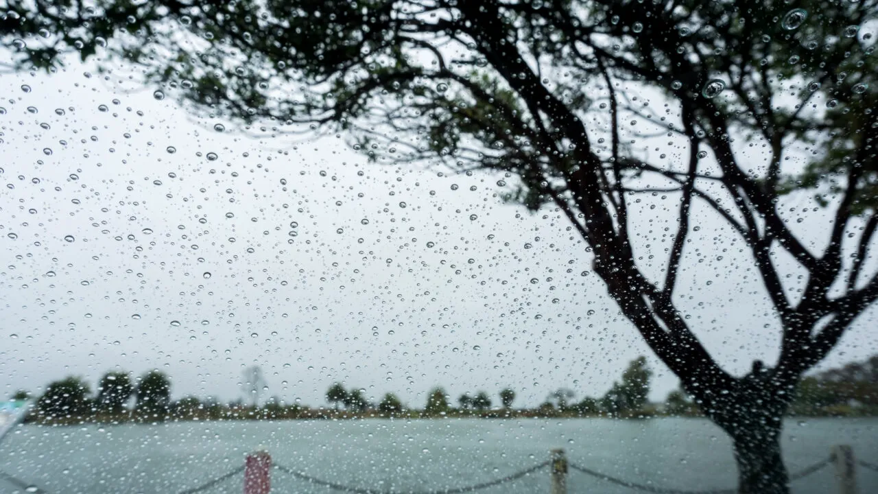 ANM: Avertisment de vreme rece în toată țara. Cod galben de ploi în cinci județe