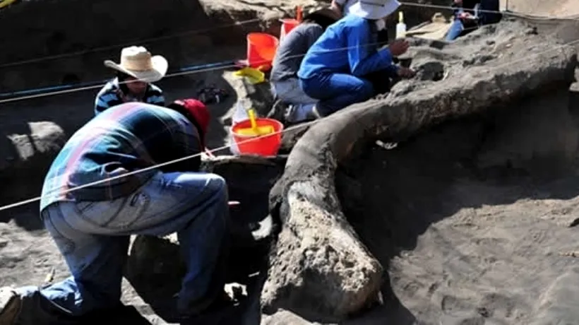 Descoperire arheologică importantă în America Latină