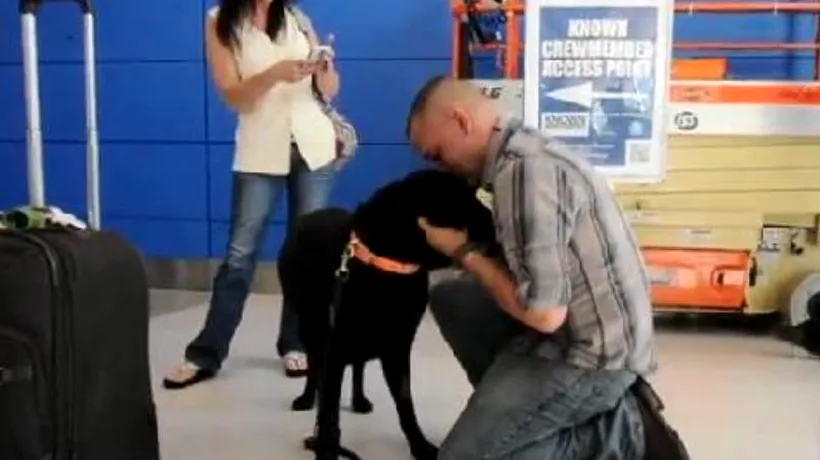 Întâlnire emoționantă între un pușcaș marin și câinele său