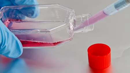 Un nou tip de virus, Armaghedon, ar putea distruge omenirea în cinci ani