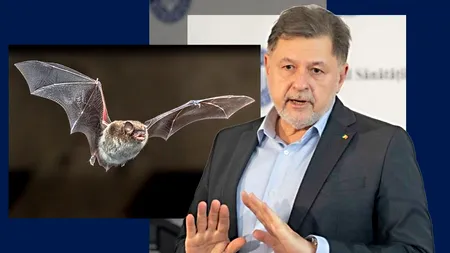 Invazie de LILIECI la Spitalul Sf. Spiridon / Alexandru Rafila: Unul mai poate să intre din greșeală, dar 200... Înseamnă că locuiau acolo