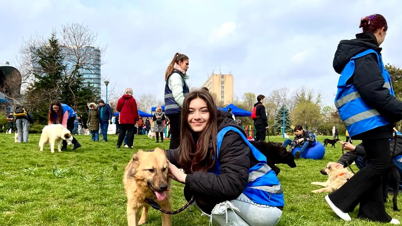 Primăria Capitalei anunță un nou târg de adopții de căței și pisici, la Arena Națională