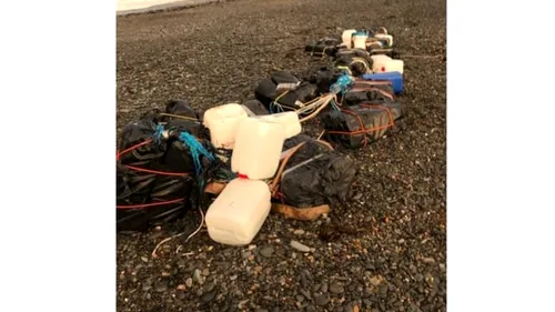 Un bărbat a descoperit 30 de pachete cu cocaină pe o plajă, în timp ce își plimba câinii. Ulterior, a aflat că „marfa” valora 100 de milioane de dolari