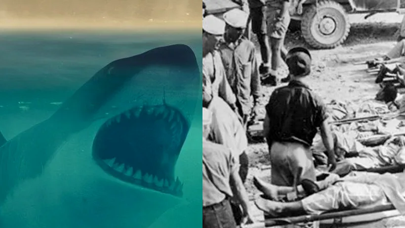 Cel mai sângeros atac al rechinilor din istorie: Au ucis 150 de marinari în patru zile