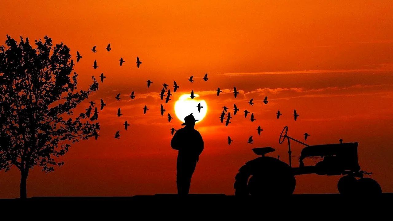 Agricultorii români au dat lovitura cu acest fruct. Cu un singur hectar cultivat poți câștiga peste 20.000 de euro