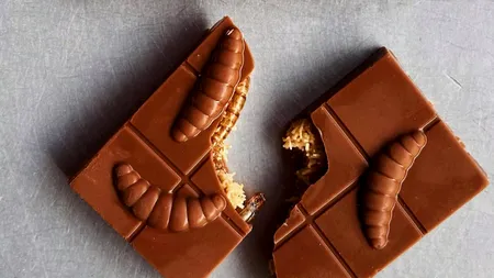 Ucrainenii mănâncă ciocolată cu viermi adevăraţi. Cât costă şi cum arată desertul care a creat isterie pe internet