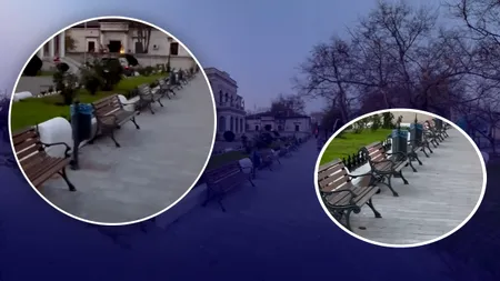 Orașul din România care are 19 bănci pe o rază de doar 25 de metri