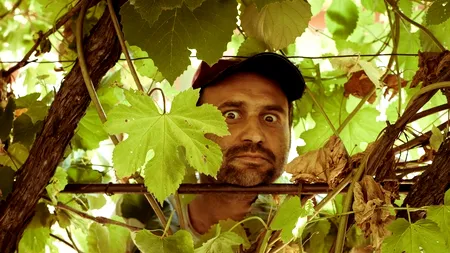 LAS FIEBINȚI, sezonul 2. Celentano vrea să inventeze dinamul în scopuri sexuale