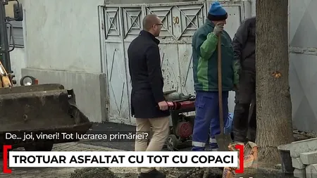 Stradă din Galaţi, asfaltată de „Dorel” cu tot cu copaci. Ulterior a reparat GAFA cu târnăcopul. Reacția autorităților