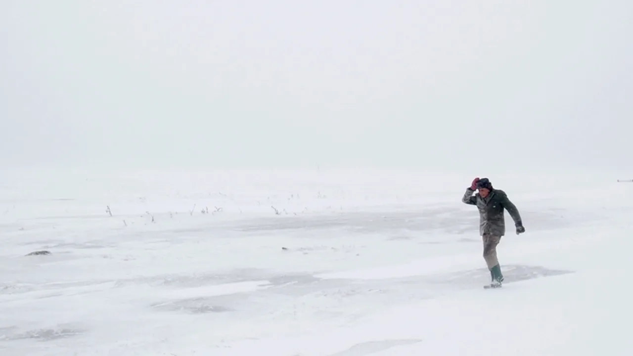 Vasluian găsit mort de frig pe un câmp, după ce a fost căutat două zile de peste 50 de oameni