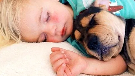 Prietenia emoționantă dintre un copil și un câine. FOTO