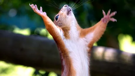 Imaginea care a EMOȚIONAT lumea