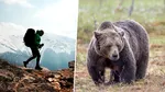 Un turist străin a fost atacat de un urs, pe Transfăgărășan, după ce l-a hrănit. Incidentul a fost filmat