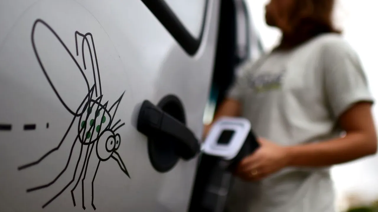 Infecția cu virusul West Nile: Numărul cazurilor de a ajuns la 19