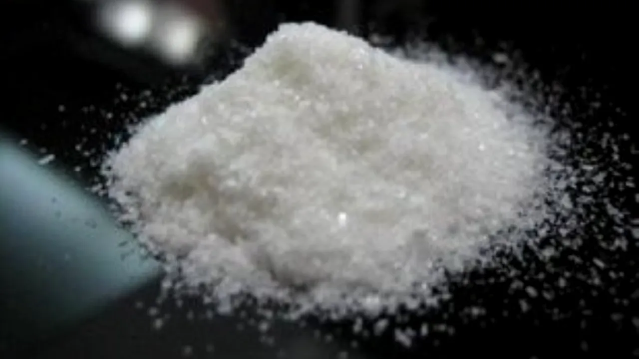 Peste o tonă de precursori de droguri sintetice, confiscată de polițiști, în Portul Constanța