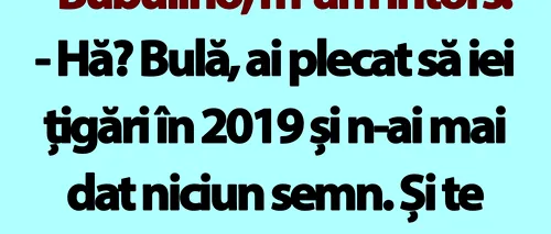 BANC | Bulă se întoarce acasă după 5 ani