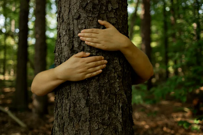 foto ilustrativa: sursa foto: Envato