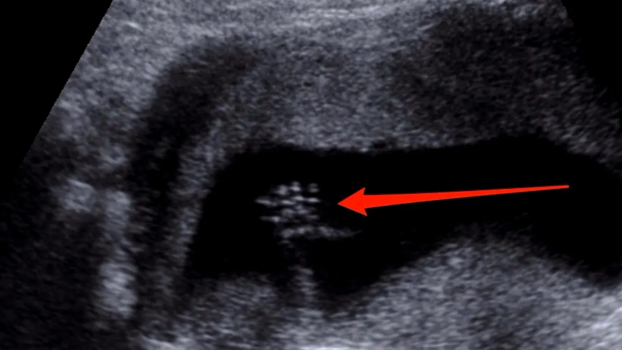 Oamenii de știință au făcut o descoperire „șocantă