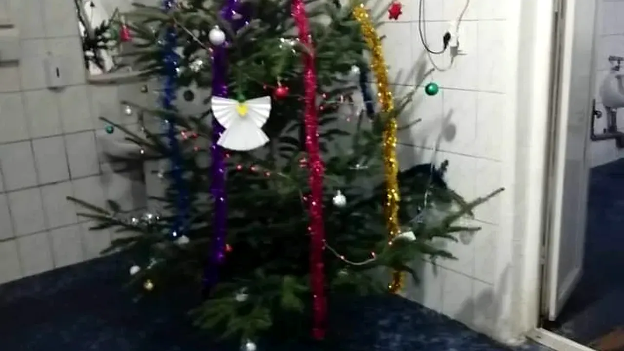 BRAD de Crăciun, montat în toaleta Parcului Central din Târgu Jiu. Este împodobit și acoperă două chiuvete