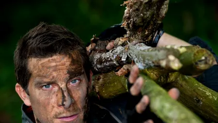 Bear Grylls, cercetat de autorități