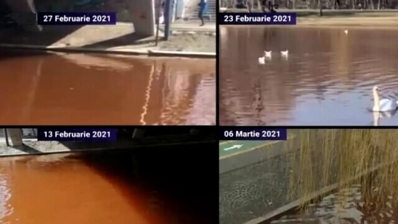 Lacul IOR nu ar fi infestat cu fecale. Anunțul lui Tanczos Barna: Nu a ieșit nimic senzațional în evidență