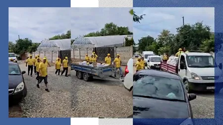 FĂINĂ și MĂLAI, mită electorală la IANCA-OLT/Polițiștii au făcut dosar PENAL pentru CORUPEREA ALEGĂTORULUI