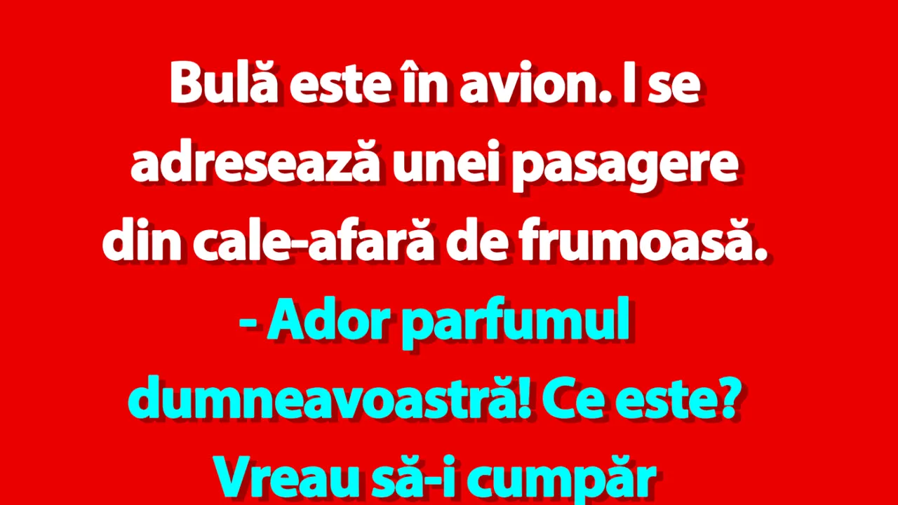 BANC | Bulă și pasagera frumoasă din avion