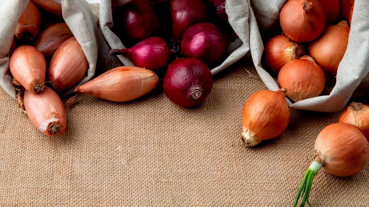 Cum să alegi ceapa. Le ce trebuie să fii atent când o cumperi