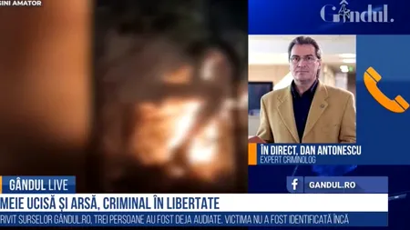 GÂNDUL LIVE. Cadavrul incendiat din Giurgiu. Dan Antonescu: „Când va fi identificată victima, 70-75% din dosar este rezolvat” - VIDEO