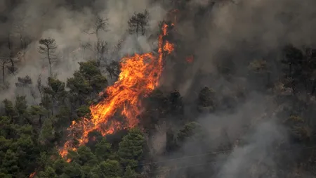 Un nou incendiu puternic de vegetație a izbucnit în Grecia