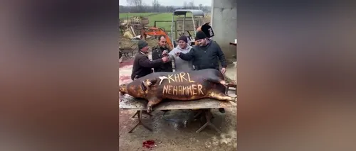 Cancelarul Austriei, Karl Nehammer, ironizat la tăierea porcului: „La mulți ani, domnu' cancelar! | VIDEO