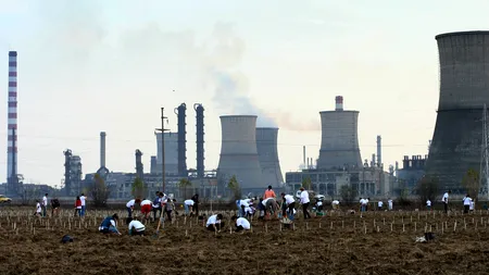 Peste 28.000 de români mor cu zile în fiecare an. Avertismentul vine de la UE