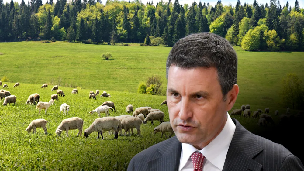 Crescătorii de animale din sectorul ovin ar putea primi până la 50.000 de euro pentru investiții în biosecuritate