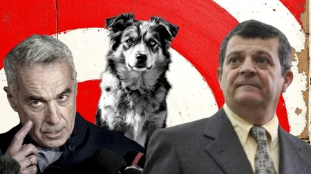 Cum ar fi UCIS Călin Georgescu un câine, când era în armată / Cristian Sima: „S-a enervat și a tras”