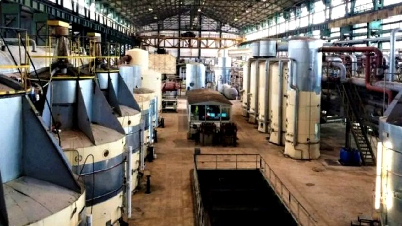 EXCLUSIV | Zahărul românesc, ca sarea în bucate. Cum vrea statul român să salveze fabrica de la Luduș. „Situația este catastrofală! Am avut 33 de fabrici de zahăr, una mai este în funcțiune”