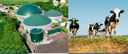 Energie din bălegar.  Mediul a lansat Ghidul de investiții pentru energie din biogaz în consultare publică