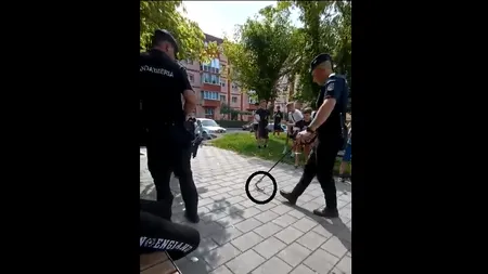 ȘARPE văzut într-un parc din Reșița, în timp ce mai mulți copii se aflau în zonă (VIDEO)