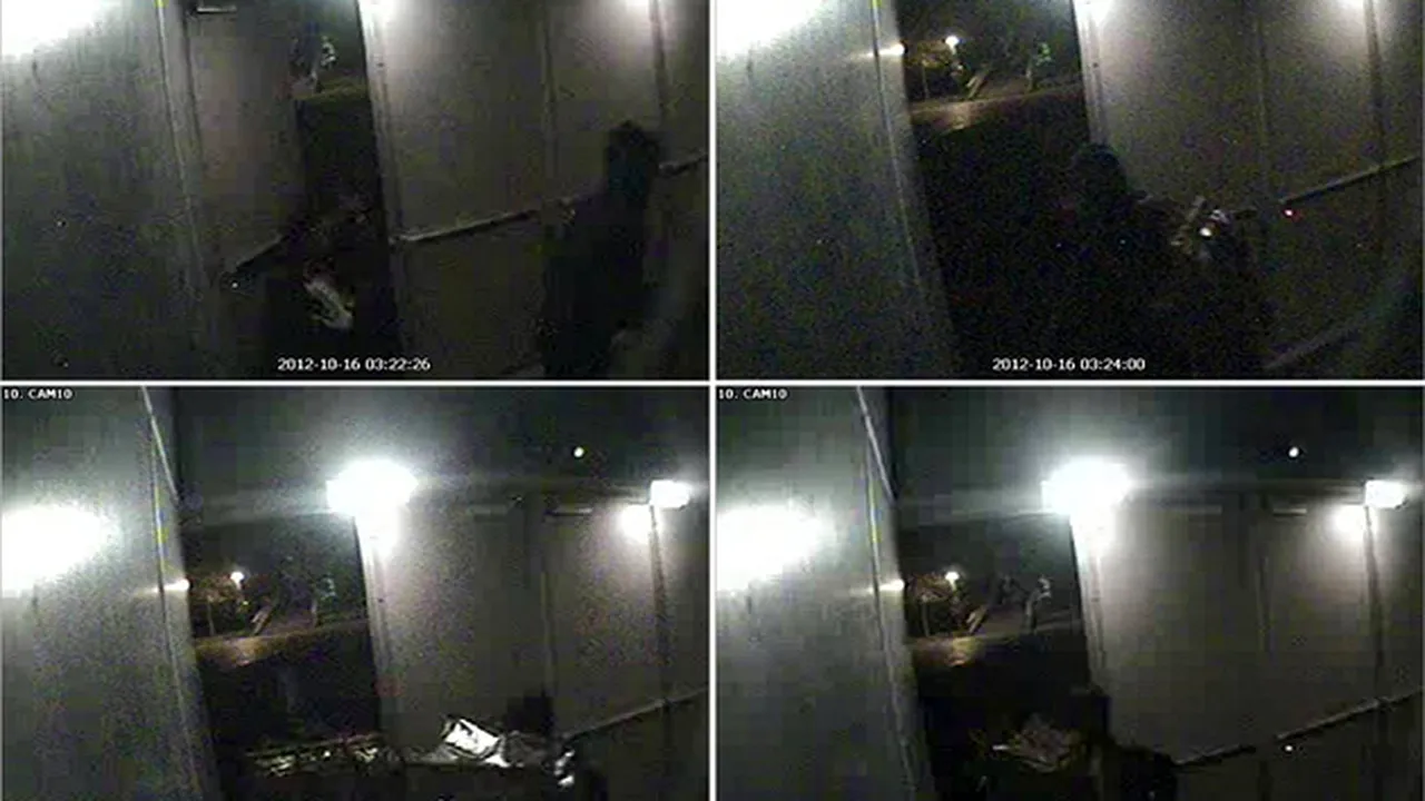 Suspecții români în furtul de tablouri de la Rotterdam vor să fie judecați în Olanda, altfel 