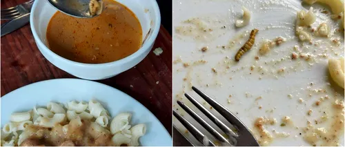 Șocant! Mâncare cu viermi la Școala de <i class='ep-highlight'>Poliție</i> din Cluj-Napoca